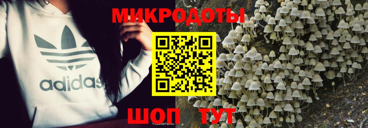 Галлюциногенные грибы Psilocybe  Галлюциногенные грибы Magic Shrooms  Стрежевой  Вход с VPN 